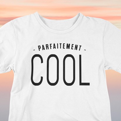 Tee shirt phrase humour parfaiement cool