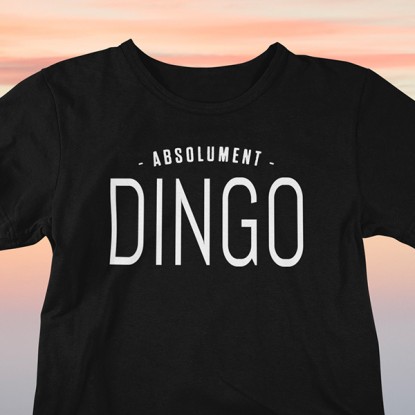 Tee shirt phrase humour absolument dingo