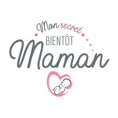 Tee shirt femme enceinte humour 2